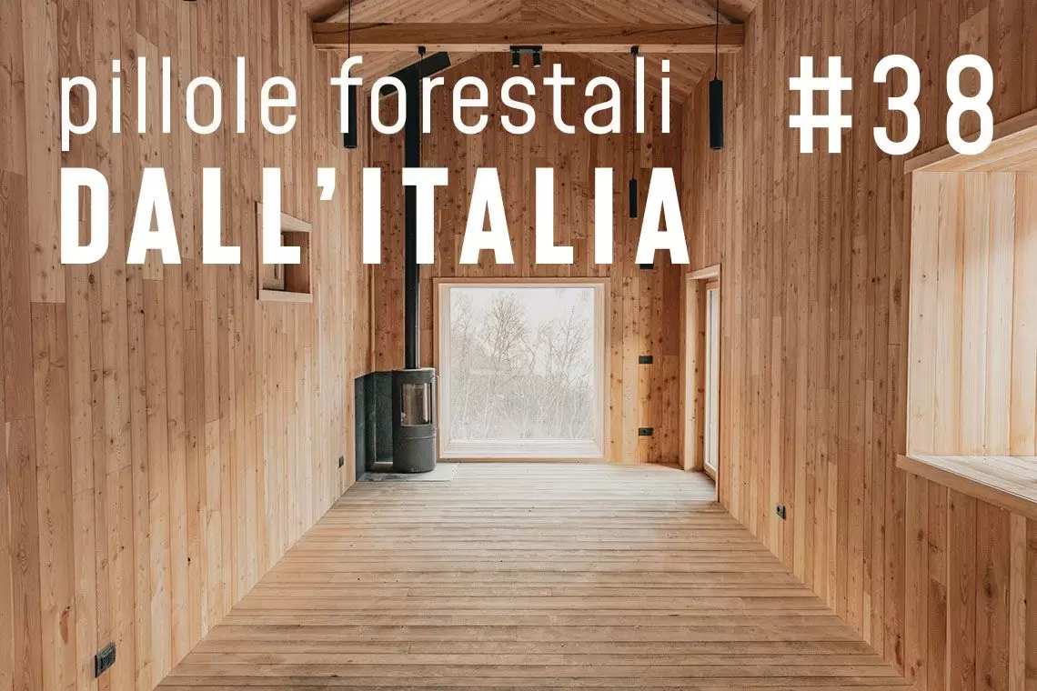 News forestali in pillole dall'Italia - Maggio 2024