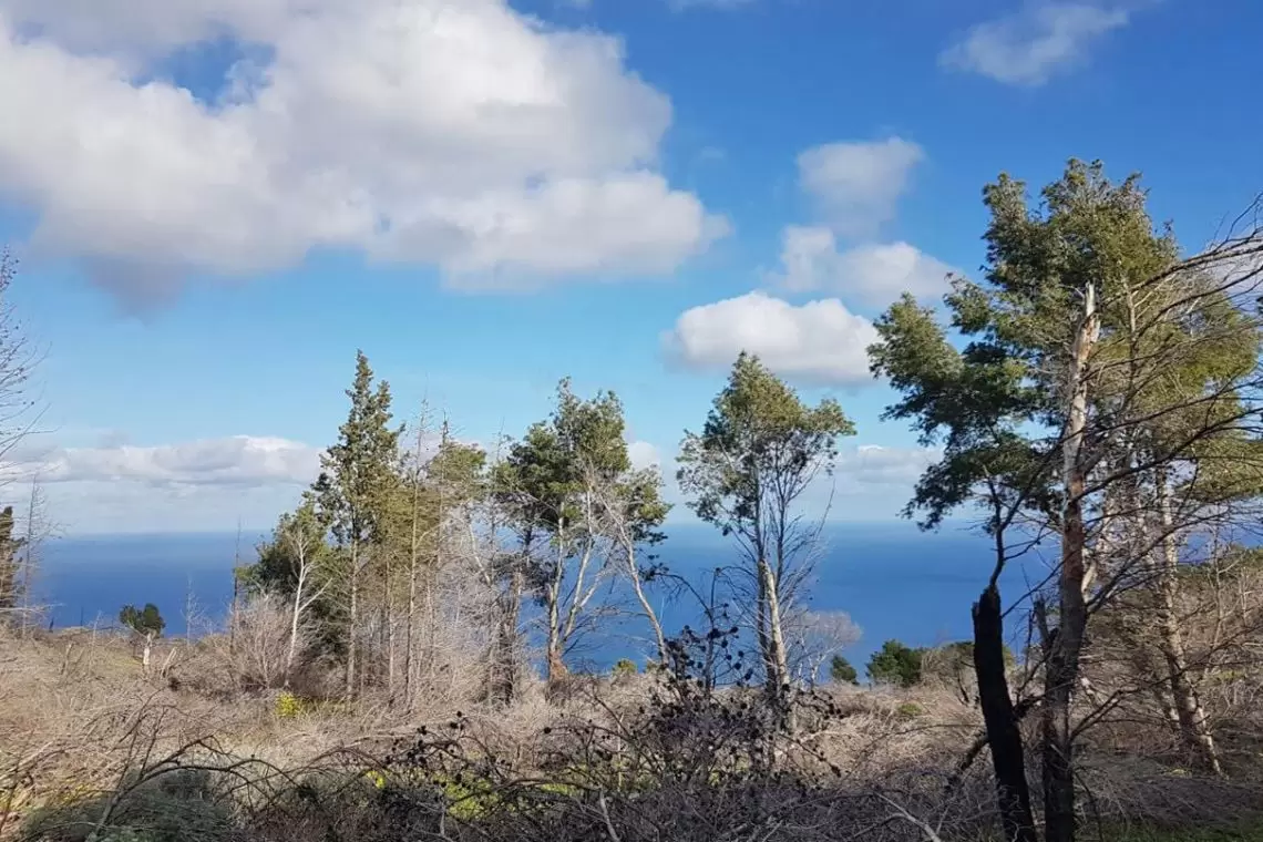 Ausf Palermo in visita ai cantieri forestali di monte pellegrino