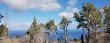 Visita ai cantieri forestali di Monte Pellegrino