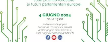 Lettera aperta ai futuri parlamentari europei