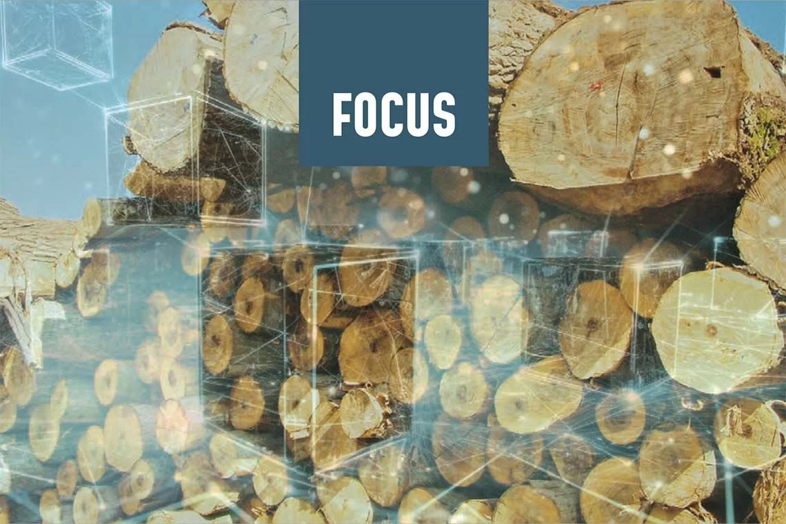 Blockchain per la filiera foresta-legno