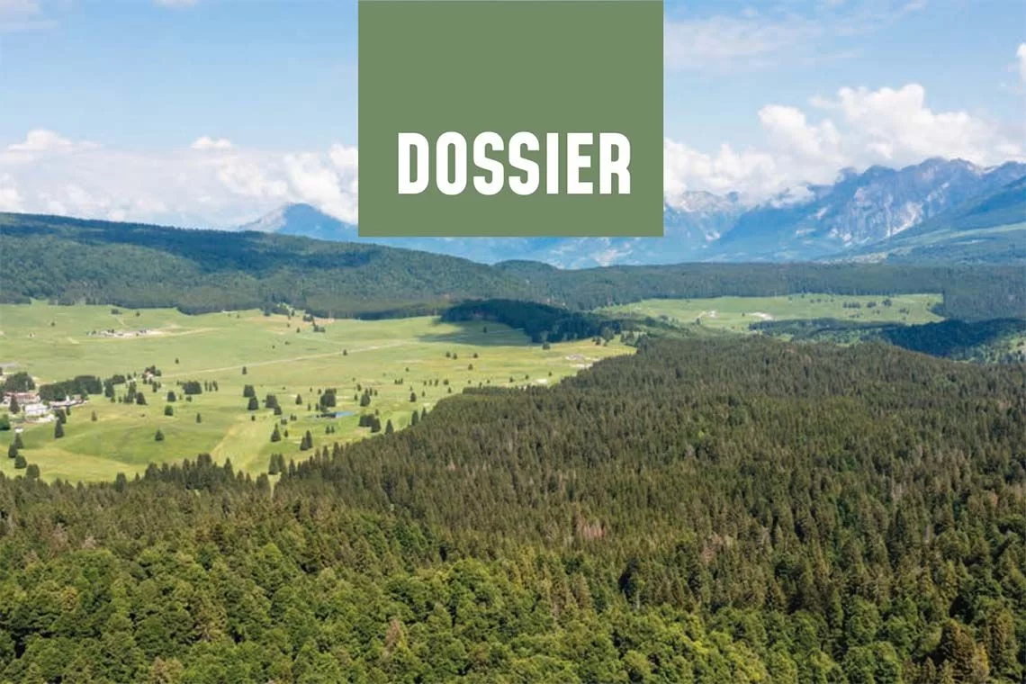 Sherwood #271 - Demani Forestali Regionali