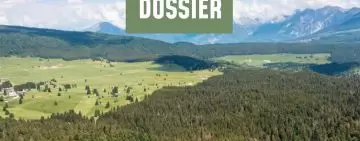 Demani Forestali Regionali: primi passi verso una visione d’insieme