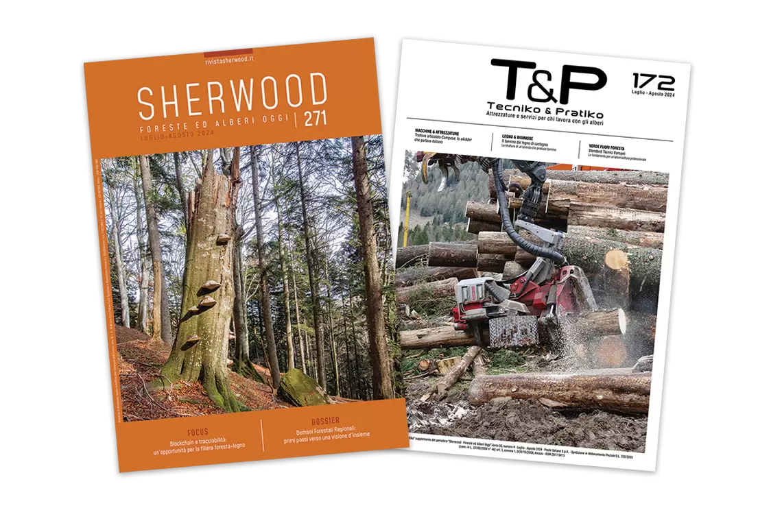 Sherwood 270: mercato del legno e associazionismo per la gestione dei boschi