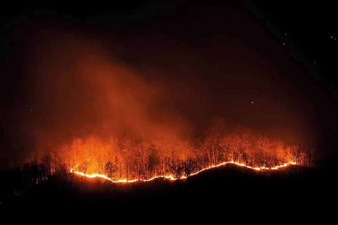 Incendi boschivi di grande estensione: prevenzione e territorio
