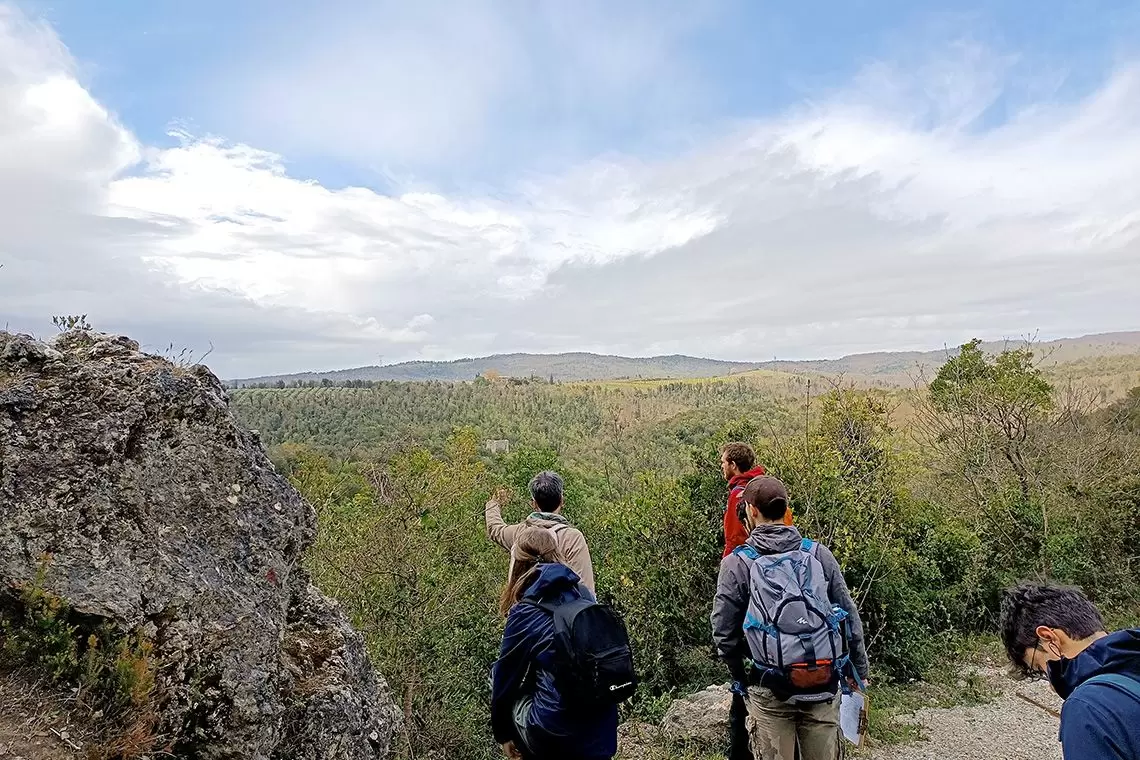 Breve lettera sul ceduo e sul caso del taglio a Castelvecchio (San Gimignano, SI)