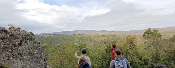 Breve lettera sul ceduo e sul caso del taglio a Castelvecchio (San Gimignano, SI)