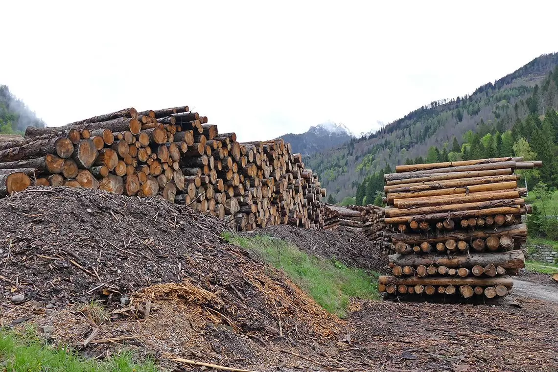Il governo statunitense chiede proroga per il regolamento EUDR
