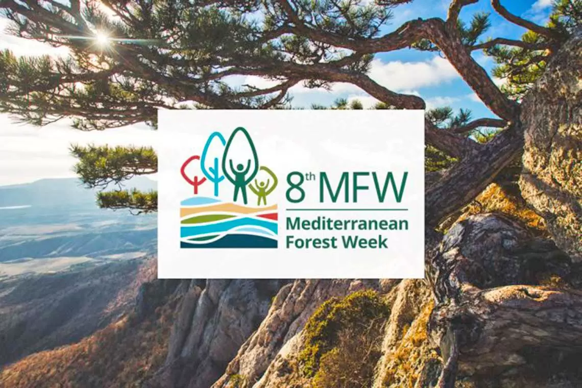 8th Mediterranean Forest Week - aperte le iscrizioni alla settimana delle foreste in programma a Barcellona