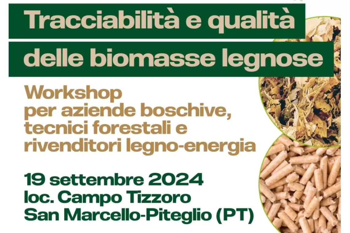 Evento su tracciabilità e qualità delle biomasse legnose