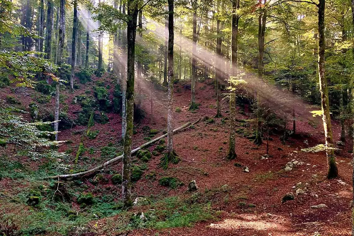 "Cansiglio InVita": seconda edizione del Festival dedicato alla Salute Globale