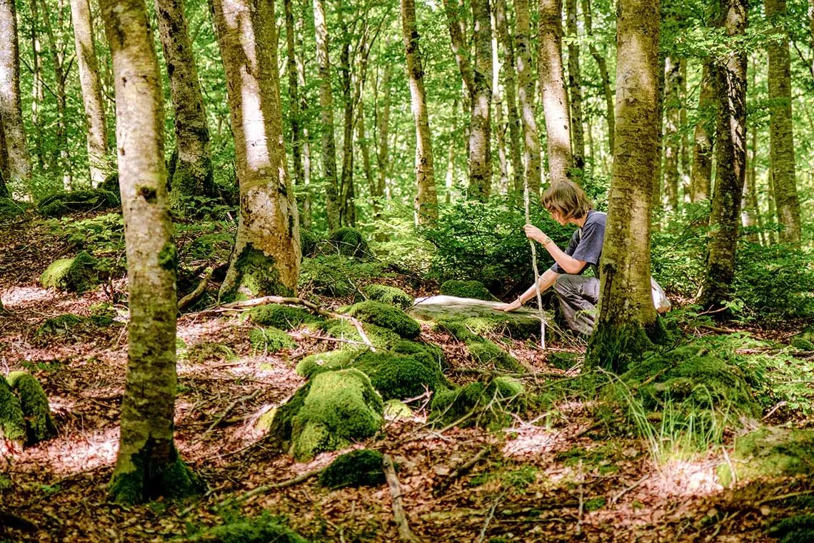 La terapia forestale funziona davvero?