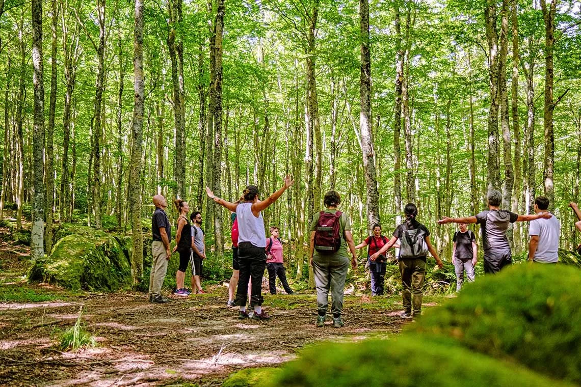 Boschi idonei alla terapia forestale