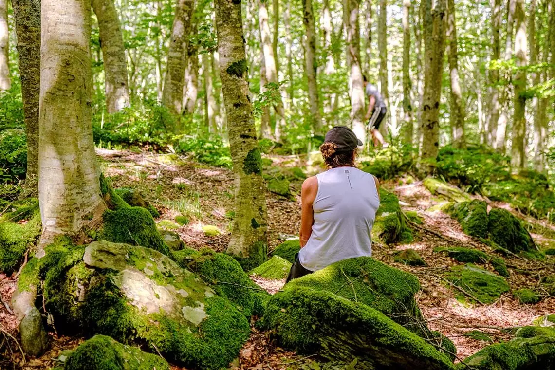 La terapia forestale ha un valore anche socioeconomico