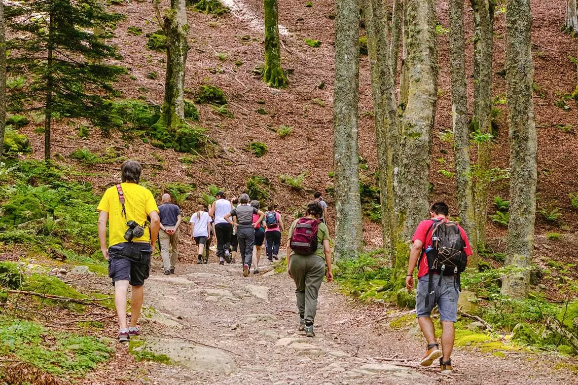 La terapia forestale vista con gli occhi di un medico