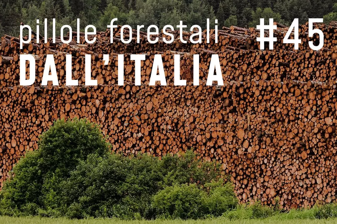 Pillole forestali dall'Italia puntata 45