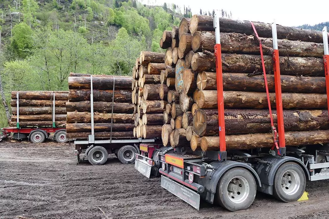 Posticipazione EUDR: arriva la richiesta ufficiale da parte della CE