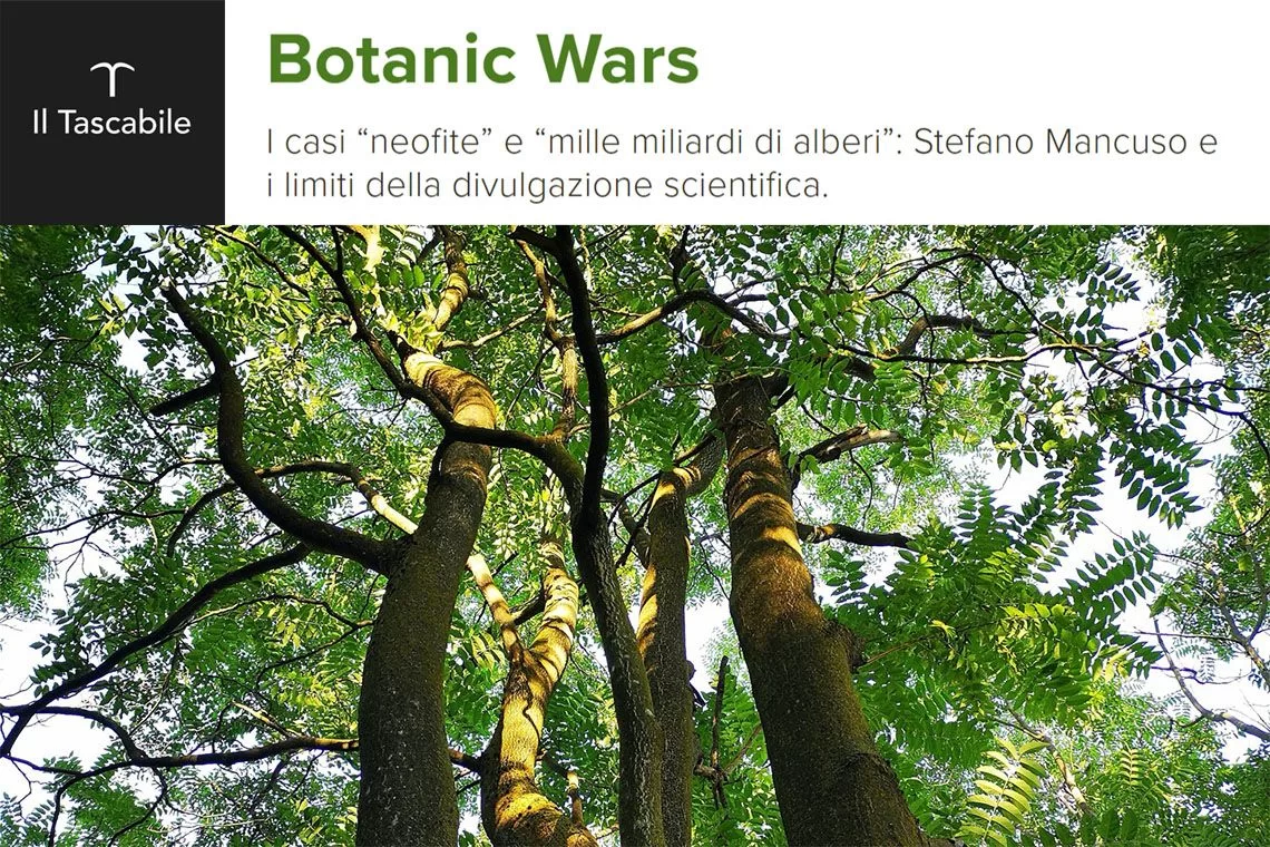 Tascabile Treccani Mancuso
