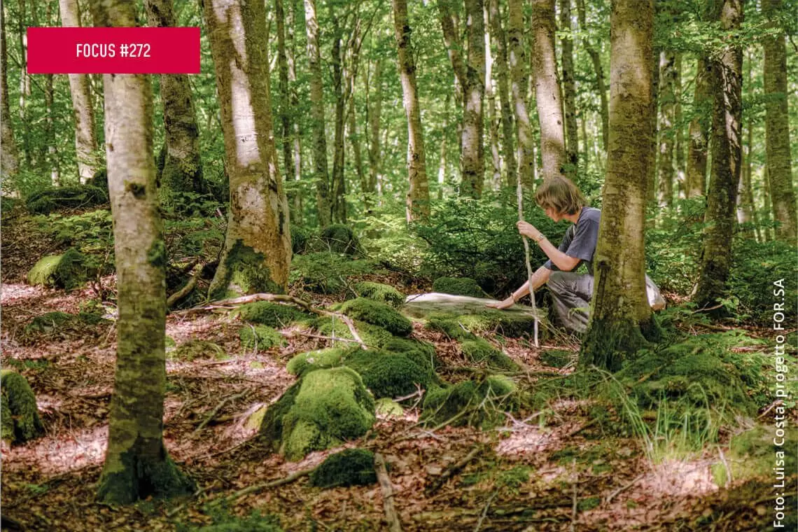 Il progetto FOR.SA: foreste che curano