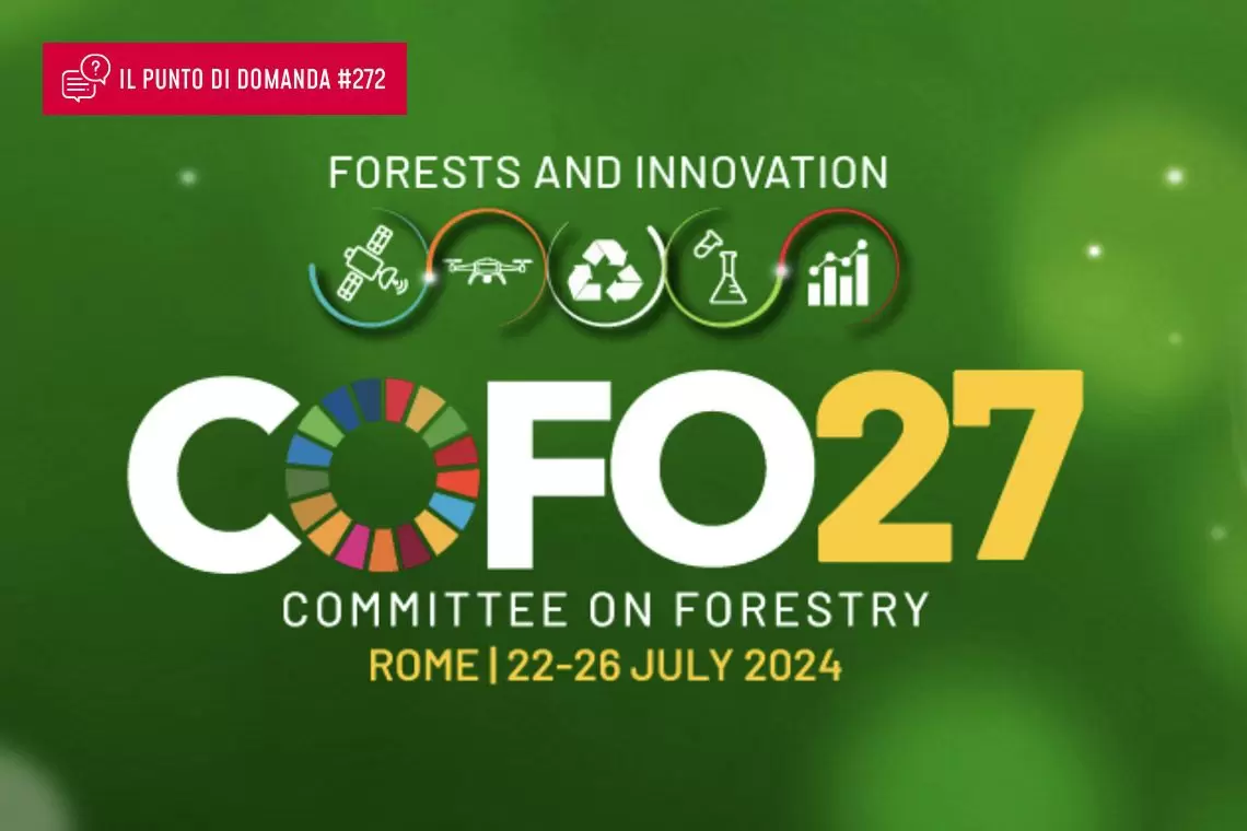 COFO27 e WFW 2024: voi c’eravate?