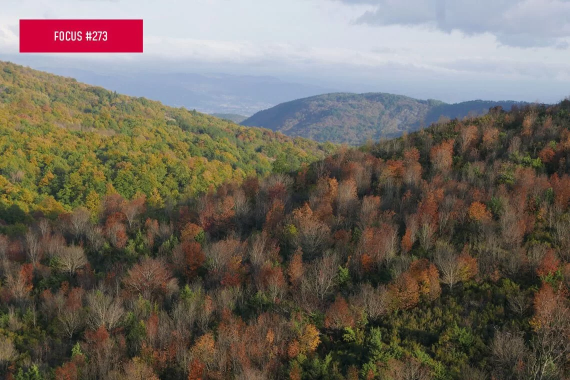 Servizio Tecnico Nazionale per foreste italiane 