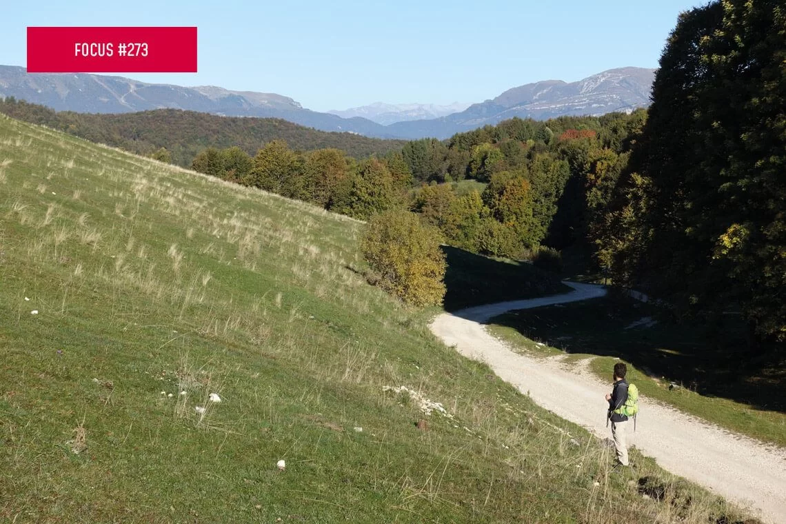 Proposta di Servizio Tecnico Forestale Nazionale
