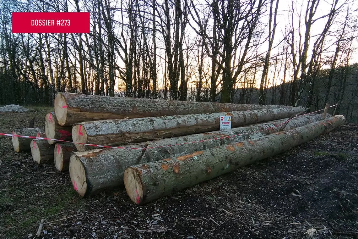 Qualità dell’abete bianco strutturale