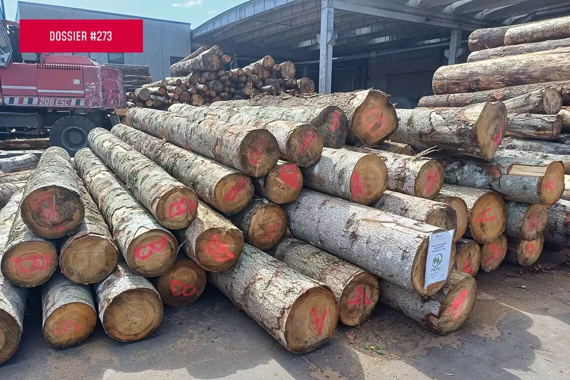 Esperienza pilota progetto A.Bi.E.S.