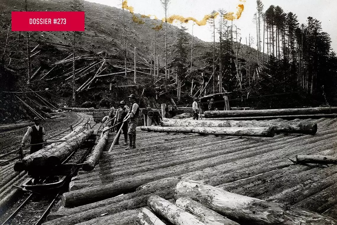 Origini storiche delle abetine casentinesi