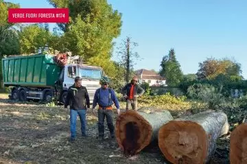 Gestionale per tracciabilità e classificazione del verde urbano. 