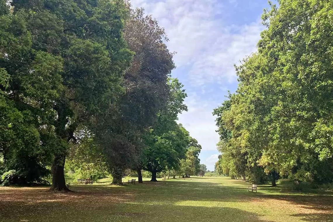 Convegno divulgativo e formativo a Roma sul tema “Biocittà, foreste urbane e salute dei cittadini”