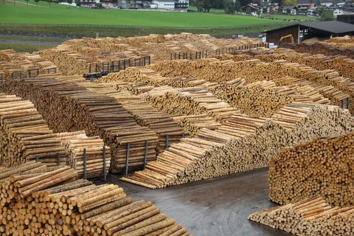 72a International Softwood Conference
