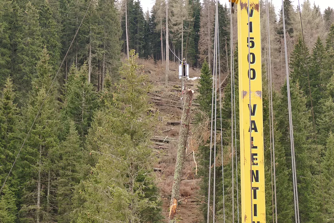 Workshop sull’esbosco con gru a cavo alla fiera EIMA 