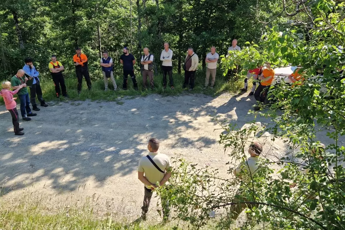 Considerazioni sulla formazione in Scienze Forestali e Ambientali
