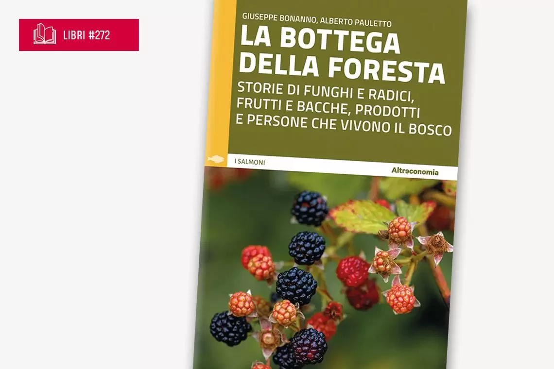 Il libro "La bottega della foresta"