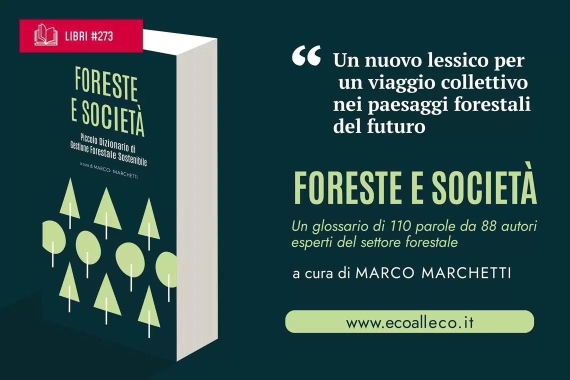Un dizionario sulla Gestione Forestale Sostenibile