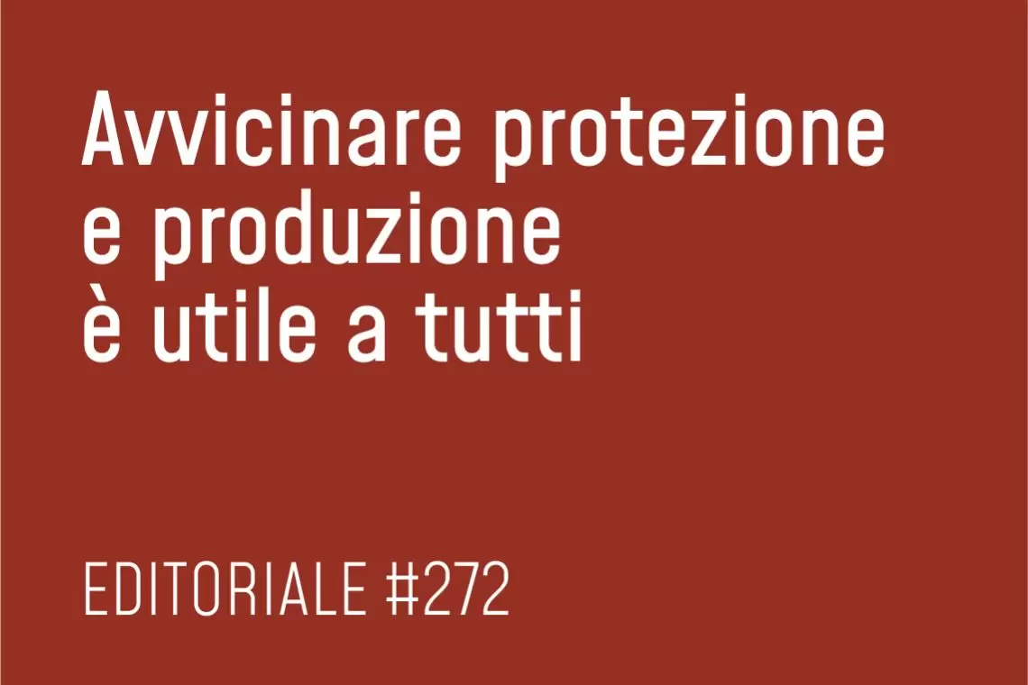 Equilibrio tra protezione e produzione in foresta
