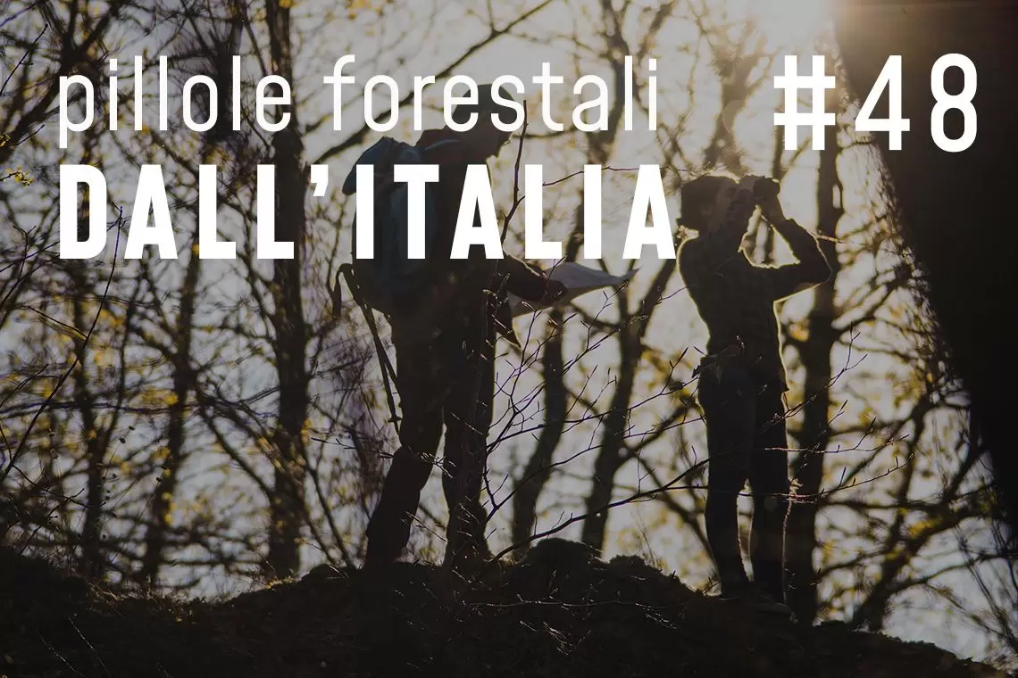 Pillole forestali dall'Italia puntata 48