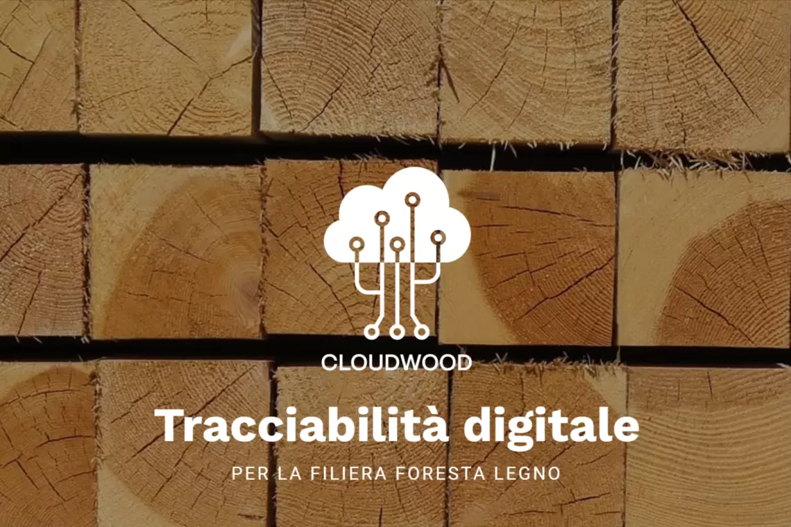 Cloud Wood webinar