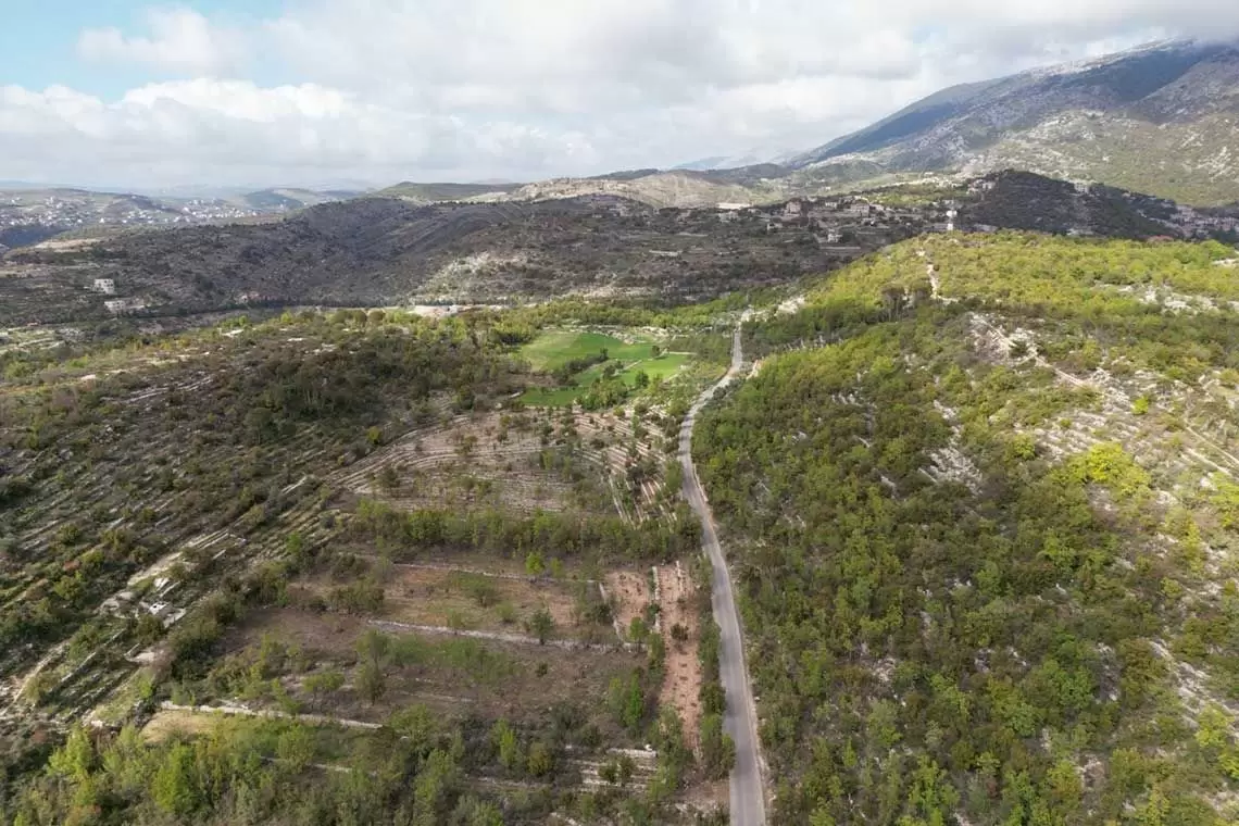 Una borsa di studio per lavorare sulla gestione sostenibile delle Foreste del Mediterraneo