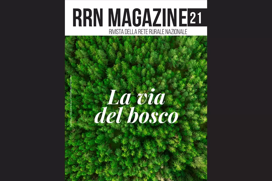 RRN Magazine: La via del bosco
