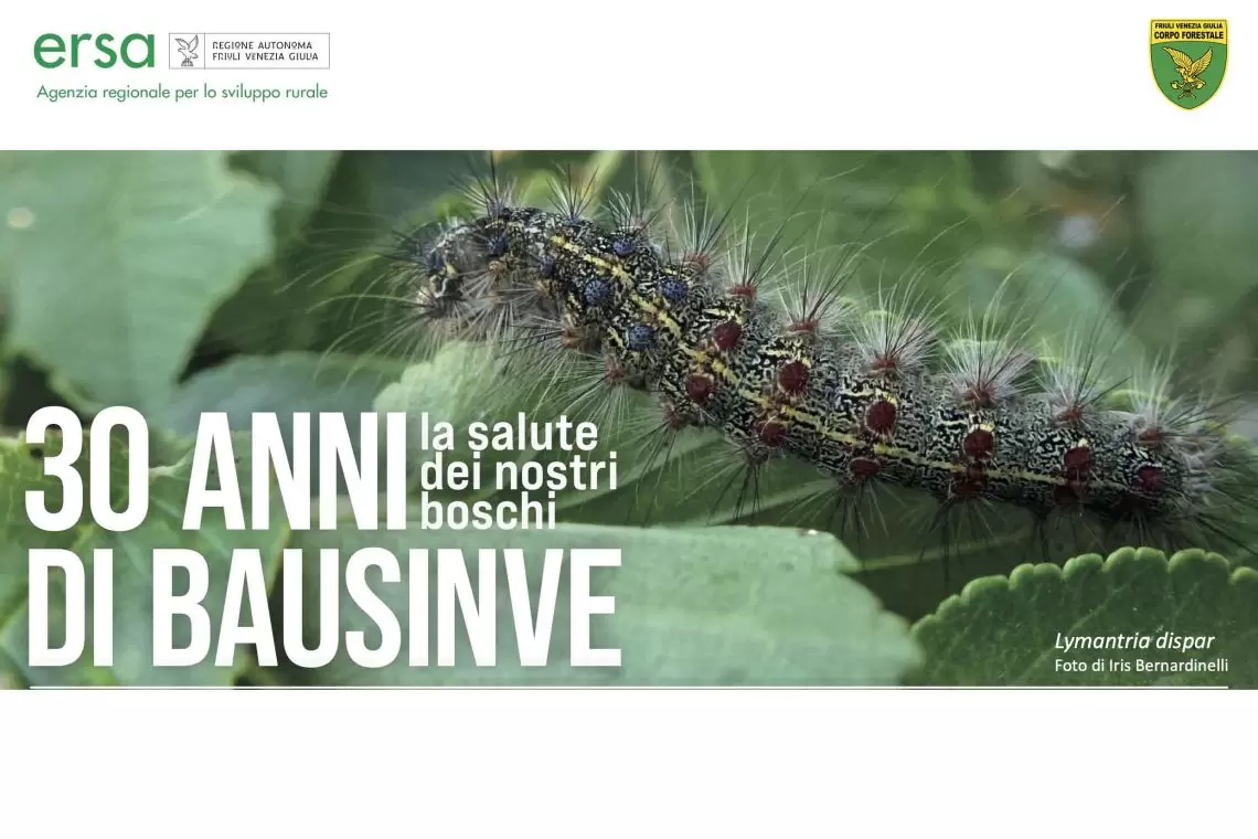 30 anni di BAUSINVE, l’Inventario fitopatologico delle foreste del Friuli Venezia Giulia