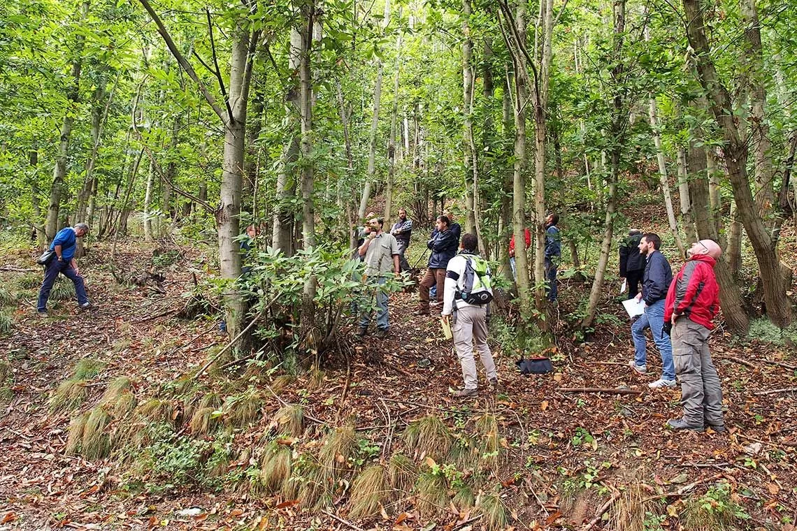 Meccanizzazione per la gestione forestale sostenibile dei castagneti da legno