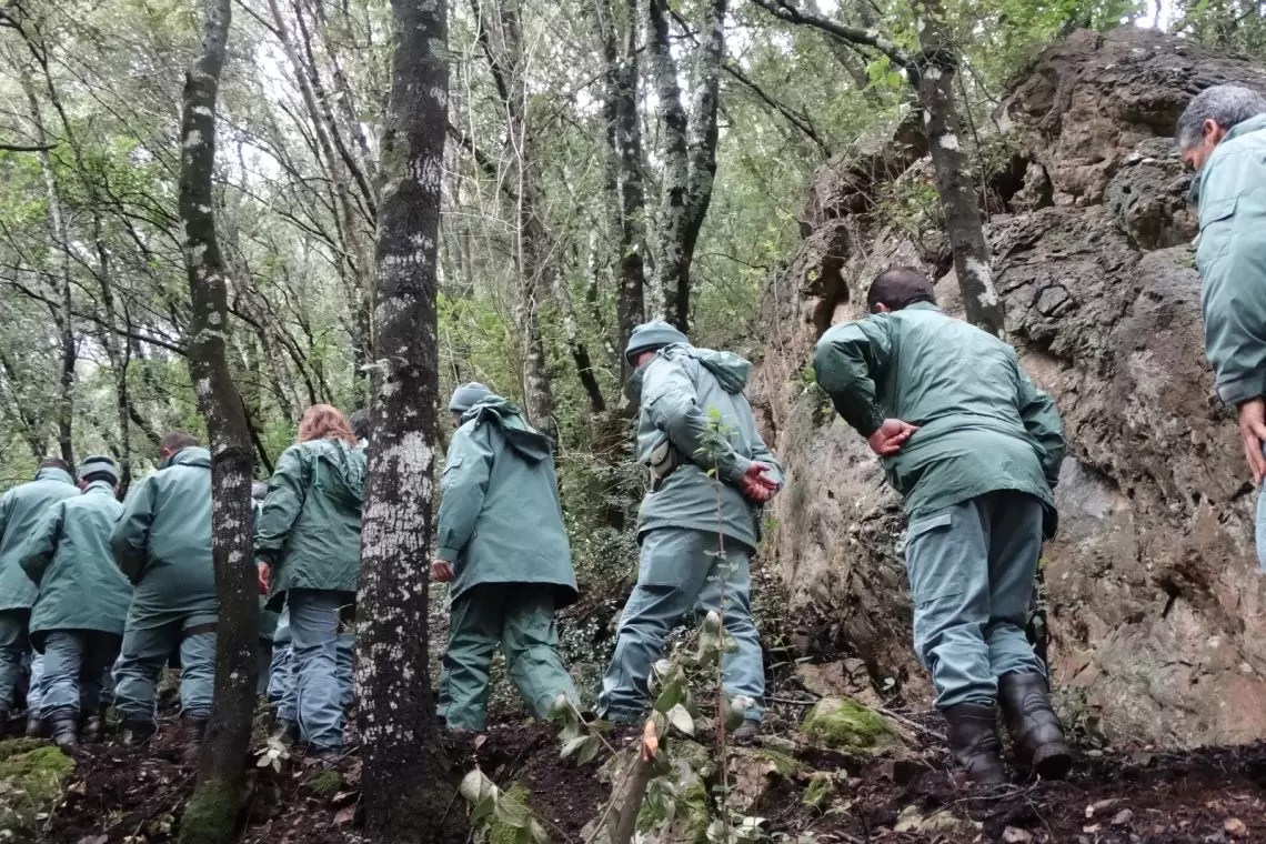 corpo forestale Sardegna