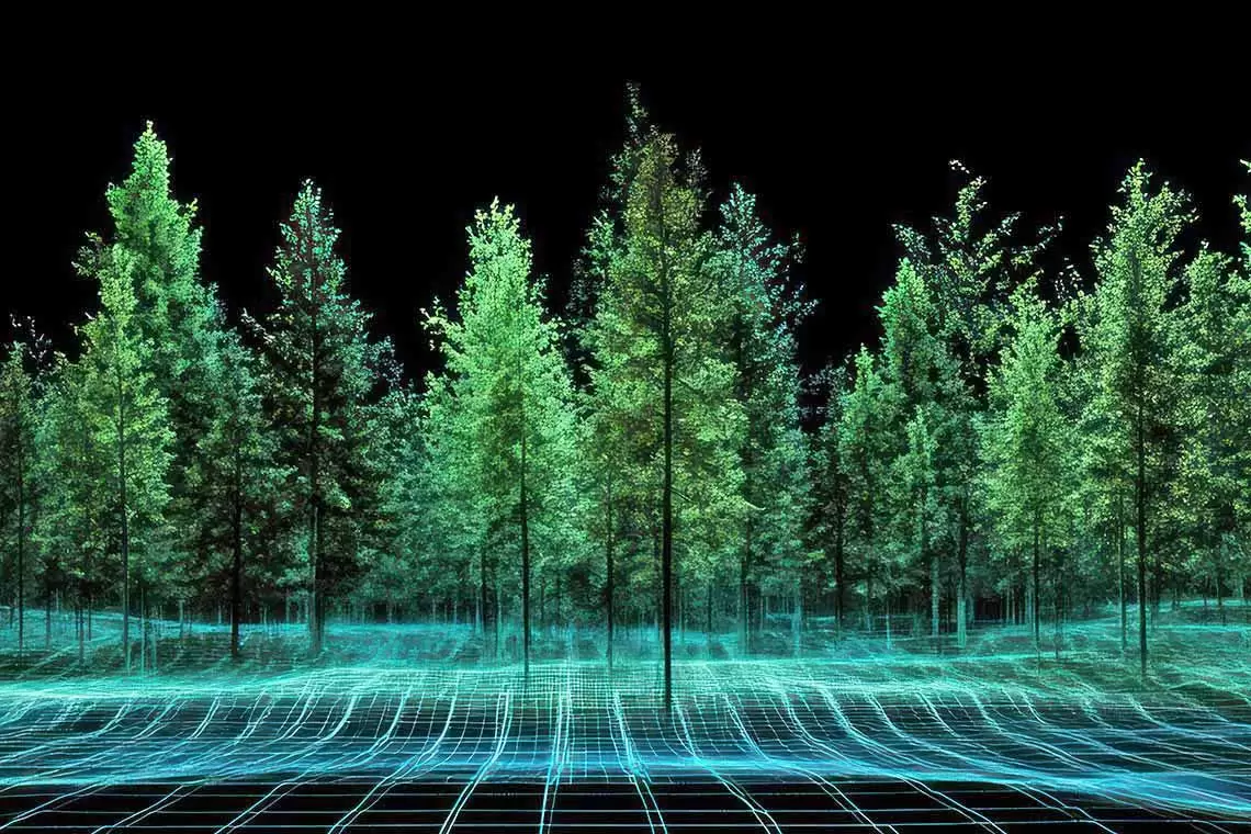 Progetto DigiMedFor, un assegno di ricerca al CNR sulla valutazione della qualità del legno dall’albero in piedi ai prodotti derivati