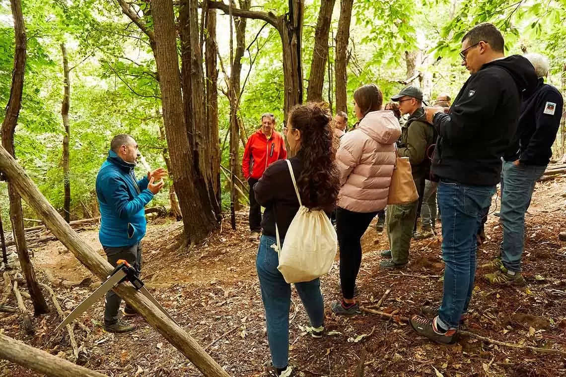 Il progetto LIFE ClimatePositive presenta un toolkit online per l'associazionismo fondiario forestale 