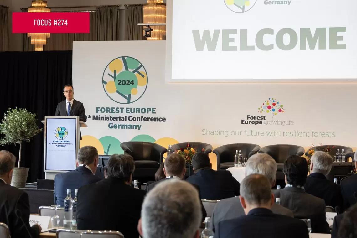 Strategie e domande dalla Conferenza FOREST EUROPE