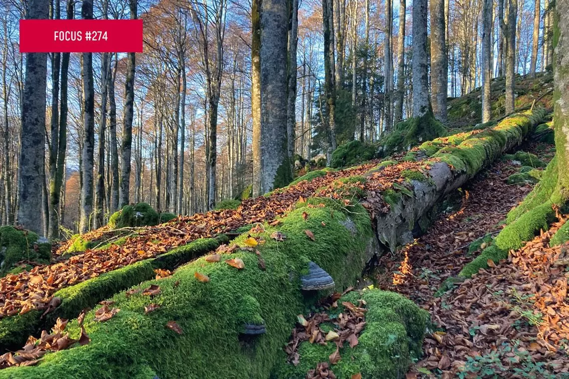 Bilanciamento tra gestione e conservazione