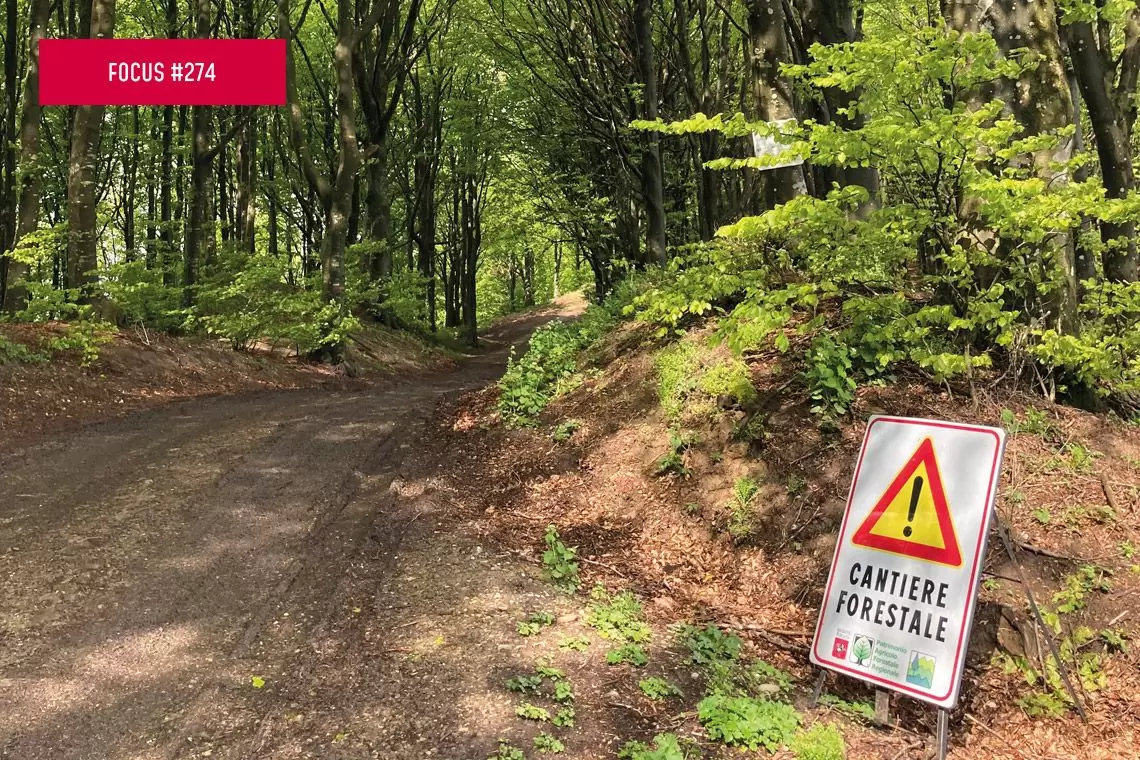 Percezione della gestione forestale nella società