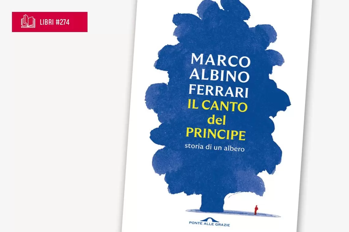 Avez del Prinzep di Marco Albino Ferrari